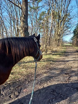 Gemeinsamer Spaziergang